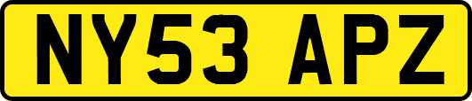 NY53APZ