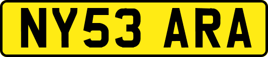 NY53ARA