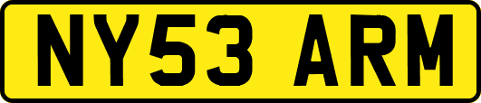 NY53ARM