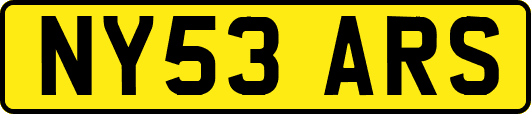 NY53ARS