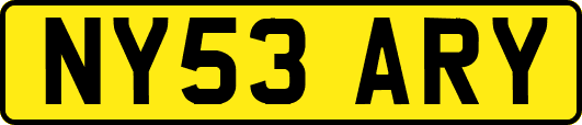 NY53ARY