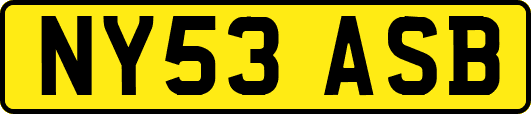 NY53ASB