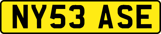 NY53ASE