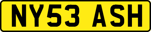 NY53ASH