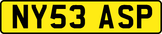 NY53ASP