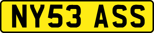 NY53ASS