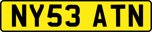 NY53ATN