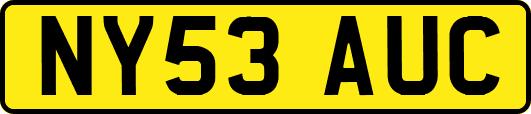 NY53AUC