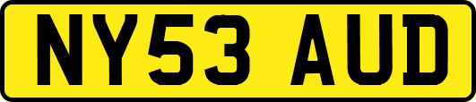 NY53AUD