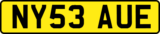 NY53AUE