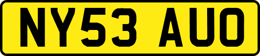 NY53AUO