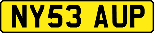 NY53AUP