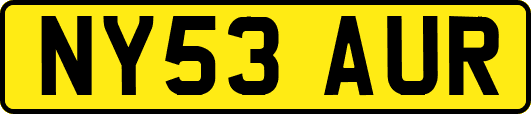 NY53AUR