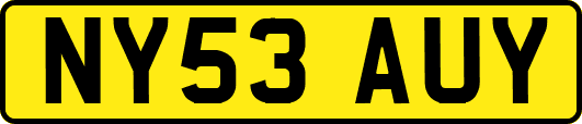 NY53AUY