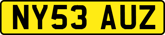 NY53AUZ