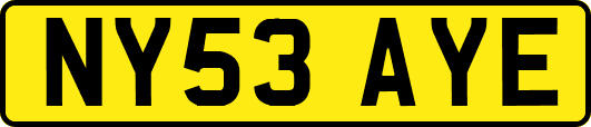 NY53AYE