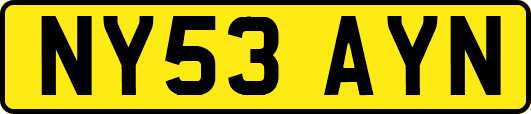 NY53AYN