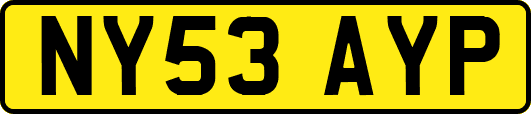 NY53AYP