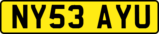 NY53AYU
