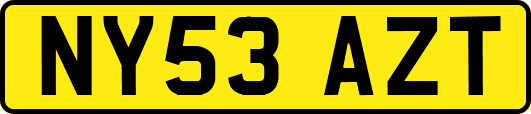 NY53AZT