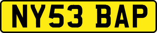 NY53BAP