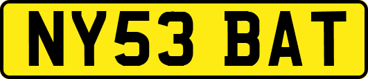 NY53BAT