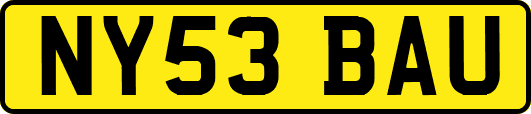 NY53BAU