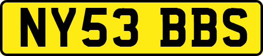NY53BBS