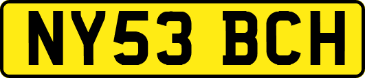 NY53BCH