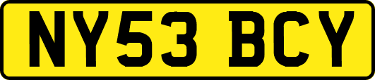 NY53BCY