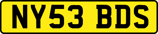 NY53BDS