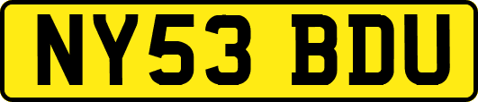 NY53BDU