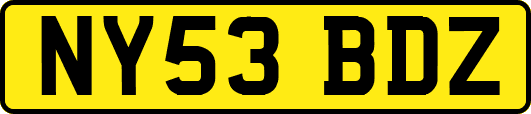 NY53BDZ