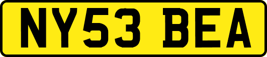 NY53BEA