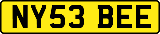 NY53BEE