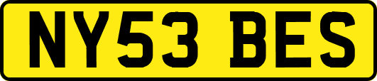 NY53BES