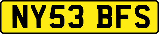 NY53BFS
