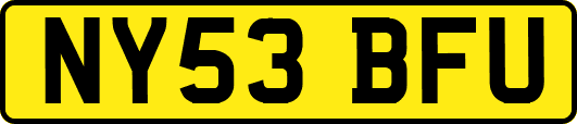 NY53BFU