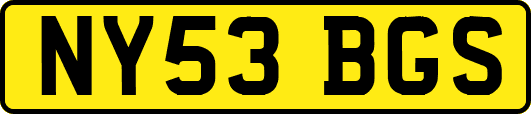 NY53BGS