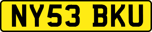 NY53BKU