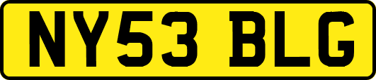 NY53BLG