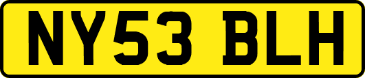 NY53BLH
