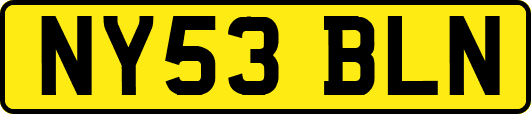 NY53BLN