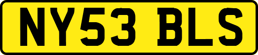 NY53BLS