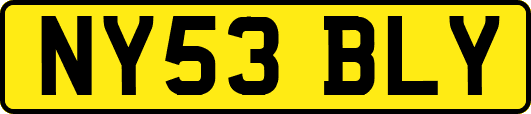 NY53BLY