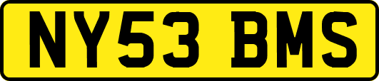 NY53BMS