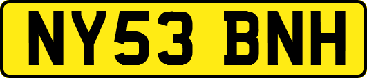 NY53BNH