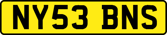 NY53BNS