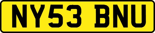NY53BNU