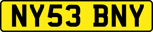 NY53BNY